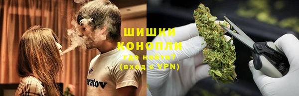 PSILOCYBIN Беломорск