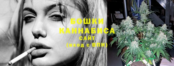 PSILOCYBIN Беломорск